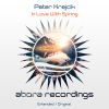 Download track In Love With Spring (Extended Mix)