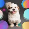 Download track Background For Restless Puppies