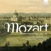 Download track Piano Concerto No. 17 K. 453 In G Major: I. Allegro