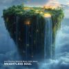 Download track Weightless Soul