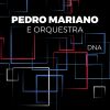 Download track Casa No Campo