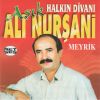 Download track Seni Bir Ben Bilirim Birde Vatanım
