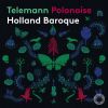 Download track 11. Overture-Suite In D Major, TWV 55D13 La Gaillarde (Excerpts Arr. J. Steenbrink & T. Steenbrink For Strings & Continuo) V. Batelière