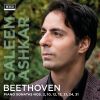 Download track Piano Sonata No. 31 In A-Flat Major, Op. 110: 3. Adagio Ma Non Troppo - Fuga (Allegro Ma Non Troppo)