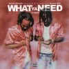 Download track Show How U Do Dat