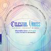 Download track Latin Prayers: No. 1, Angele Dei'