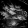 Download track L. A. Teen (Original Mix)