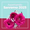 Download track Governo Punk
