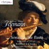 Download track Sonata IX In D Major, TWV 40: 149: III. Vivace