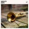Download track Lazy Rhythms
