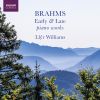 Download track Klavierstücke, Op. 119: No. 3, Intermezzo In C Major