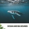 Download track Flowing Harmony