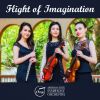 Download track Trio Sonata In D Minor, Wq. 145: III. Allegro (Formerly Attributed To J. S. Bach As BWV 1036)