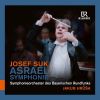 Download track 04. Symphony No. 2 In C Minor, Op. 27 Asrael IV. Adagio (Live)