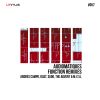 Download track Function (The Advent, M. I. T. A. Remix)
