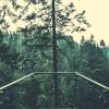 Download track Relaxed Ambiance For Relaxing