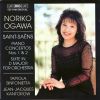 Download track Piano Concerto No. 1 In D Major, Op. 17 - I. Andante - Allegro Assai'