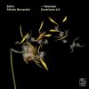 Download track Ouverture For 3 Oboes, Bassoon, Strings & Basso Continuo In D Major, TWV55; D15; II. Prélude (Très Vite)