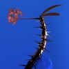 Download track Hyperreal
