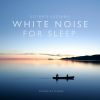 Download track Dawn Chorus In The Countryside (Loopable)