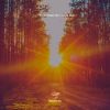 Download track Sauntering Along