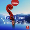 Download track Cello Concerto In G Major, RV 413: I. Allegro