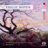 Download track Overture No. 3 For Orchestra In C Major: Adagio - Allegro Vivace