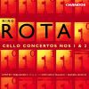 Download track 05 - II. Tema E Variazioni. Andantino Cantabile, Con Grazia