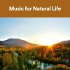 Download track Cannot Keep Spring From Coming