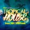 Download track Touch The Stars (Original Extended Mix)