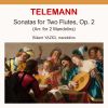 Download track Sonata No. 2 In D Major, TWV 40102 III. Largo (Arr. For 2 Mandolins In G Major)