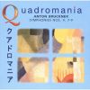Download track Symphony No. 8 In C Minor - II. Scherzo: Allegro Moderato. Trio. Langsam