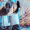 Download track Peaceful Lofi