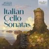 Download track Cello Sonata In A Minor: III. Animato