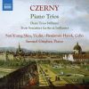 Download track Trio Brillant In C Major For Violin, Cello & Piano, Op. 211 No. 1 III. Rondo. Allegro Vivace