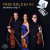 Download track String Trio In C Minor, Op. 9 No. 3: III. Scherzo. Allegro Molto E Vivace