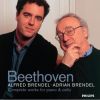 Download track 26 Alfred Brendel, Adrian Brendel - 7 Variations On 'Be Mannern, Welche Liebe Fuhlen', WoO46 - Variation VII, Allegro,...