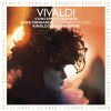 Download track Concerto In D Minor For Violin, Strings And Continuo, RV 249 Op. 4 No 8: I. Allegro - Adagio - Presto