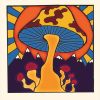 Download track State Flag Blues