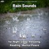 Download track Rain Sounds To Study To