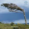 Download track Ethnos