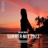 Download track Do You Feel The Same (Extended Mix)