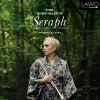 Download track 04. Concerto For Trumpet And Strings IV. Allegro Agitato