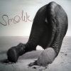Download track Sip