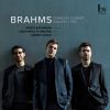 Download track Clarinet Trio In A Minor, Op. 114: IV. Allegro