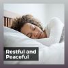 Download track Gentle Lullaby Thoughts, Pt. 7