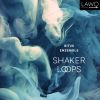 Download track Shaker Loops: III. Loops And Verses