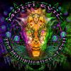 Download track Radical Structures