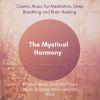 Download track Vision Of Celestial Body