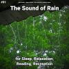 Download track Noises To Fall Asleep To
